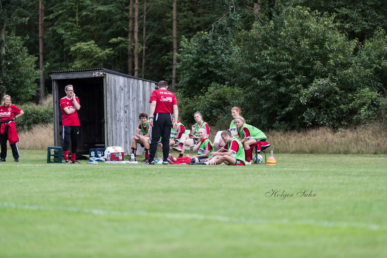 Bild 309 - Frauen SG NieBar - HSV 2 : Ergebnis: 4:3